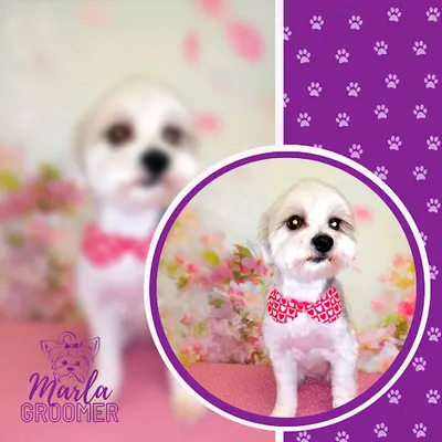 MarlaGroomer Marlena Biernacka